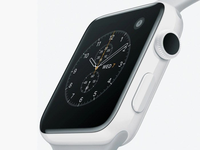 Apple watch ceramic casing to return