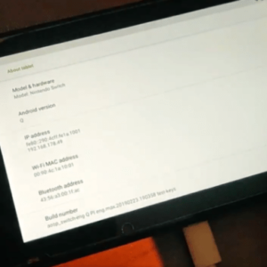 Android q shown running on nintendo switch