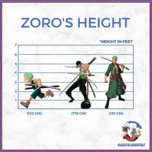 How tall is zoro one piece